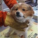 군위축협 동물병원 이미지