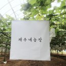 재우농장 네이버블로그