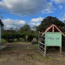 금오름농장 이미지