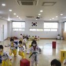 미르태권도스쿨 이미지