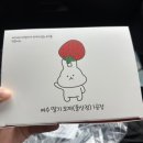 여수딸기모찌 돌산점 내돈내산 원조 여수딸기모찌공장 후기