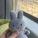 망리단길 | 망원동네일샵 '디디유네일' 자석젤네일 후기 | 망리단길네일샵 추천