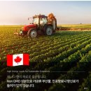 오크트리 | 리얼트리 노스포 레드오크 15kg 후기, 대형견 사료 대용량으로 괜찮았던 이유