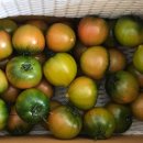 염규창 농장 이미지