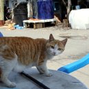 유천버스정류장 이미지