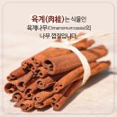 최한의원 이미지