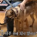 개과천선 이미지