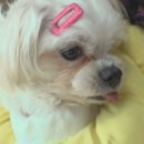 은애농장 이미지