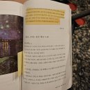 고흥 형제섬 캠프타운 오토캠핑장 방문 후기