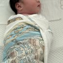 코림스 | [18일~24일] 집 적응기, 등센서 발동, 산후도우미 시작, 마녀시간 극복