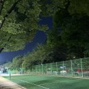 신트리공원 배드민턴장 이미지