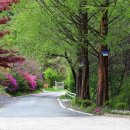 선녀와 나무꾼의 힐하우스 이미지