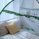 우주부라이프 이미지