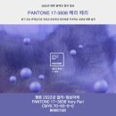 봄베리헤어 이미지