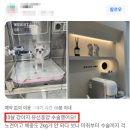온새동물의료센터 이미지