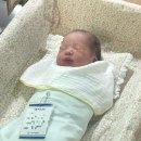 새봄펜션 | 인천 새봄산부인과/여성병원 38주 제왕절개 출산 1,2,3일차 후기