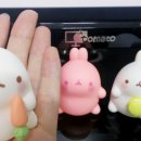 롯데리아 영월점