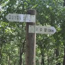 (주)창진산장휴게소 | 평택 혼자 등산 고성산 한 달에 10번가기 도전! 아이랑 고성산