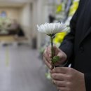 ㈜세종병원 장례식장 | 인천세종병원장례식장에서 치른 3일장 장례비용 후기