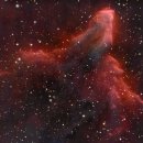 할로윈을 위한 으스스한 이미지 13개 이미지