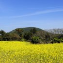 비자림길