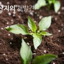 양구농축산물 이미지