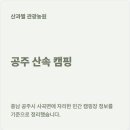 산과별 관광농원 네이버블로그