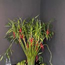 시그널휘트니스 이미지