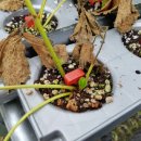 바람뜰농장 이미지