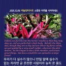 오늘도기쁨13