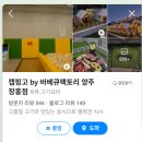 캠핑고 이미지