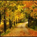 커피내음 이미지