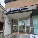 바버독 | 부천애견미용 잘하는곳 바버독에 다녀온 리얼 후기예요