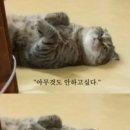 김공주