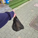 싱싱청과 이미지