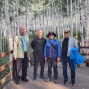 자작나무 조형물 이미지