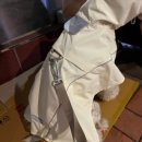 레인코트RAINCOAT | 강아지 우비 추천 모자 쓸 필요 없이 한번에! 킥더펜스 판초 레인코트