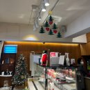 강동-천호-1224 | 12월 3주차 일상ㅣ천호 쭈꾸쭈꾸쭈꾸미, 하이몬드, 깜짝선물, 카츠오우, 회식, 교육, 머플러 구매...