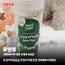 (주)위라이프 | 강아지유산균 포앤츄 | 발효 산양유 그린트라이프 내돈내산 후기