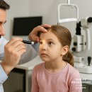 파파상사 이미지