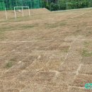 보령스포츠파크 이미지