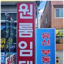 금쪽같은상가구하기공인중개사사무소 | 동아대 월룸 전세를 찾는다면 하단부동산 유신공인 중개사무소