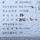 디딤돌안전기술원 이미지