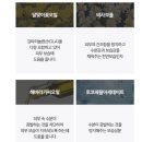 더마렉스 이미지