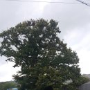 외갓집클라스 이미지