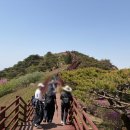 송해면-4 | 강화도 고려산 진달래 축제 맛집, 하산 후 즐기는 고려산 호랑이 코다리 점심 솔직 후기