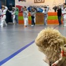 우리동네 하백 태권도 이미지