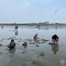 방아머리 구선착장 이미지