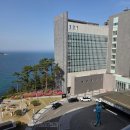 세븐일레븐속초먹거리점 | 속초 롯데리조트 미끄럼틀 있는 캐릭터 패밀리 스페셜 객실 투숙 후기