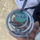 쉬엄쉬엄 한강 3종 축제 상급자 - 첫 한강 수영 후기
